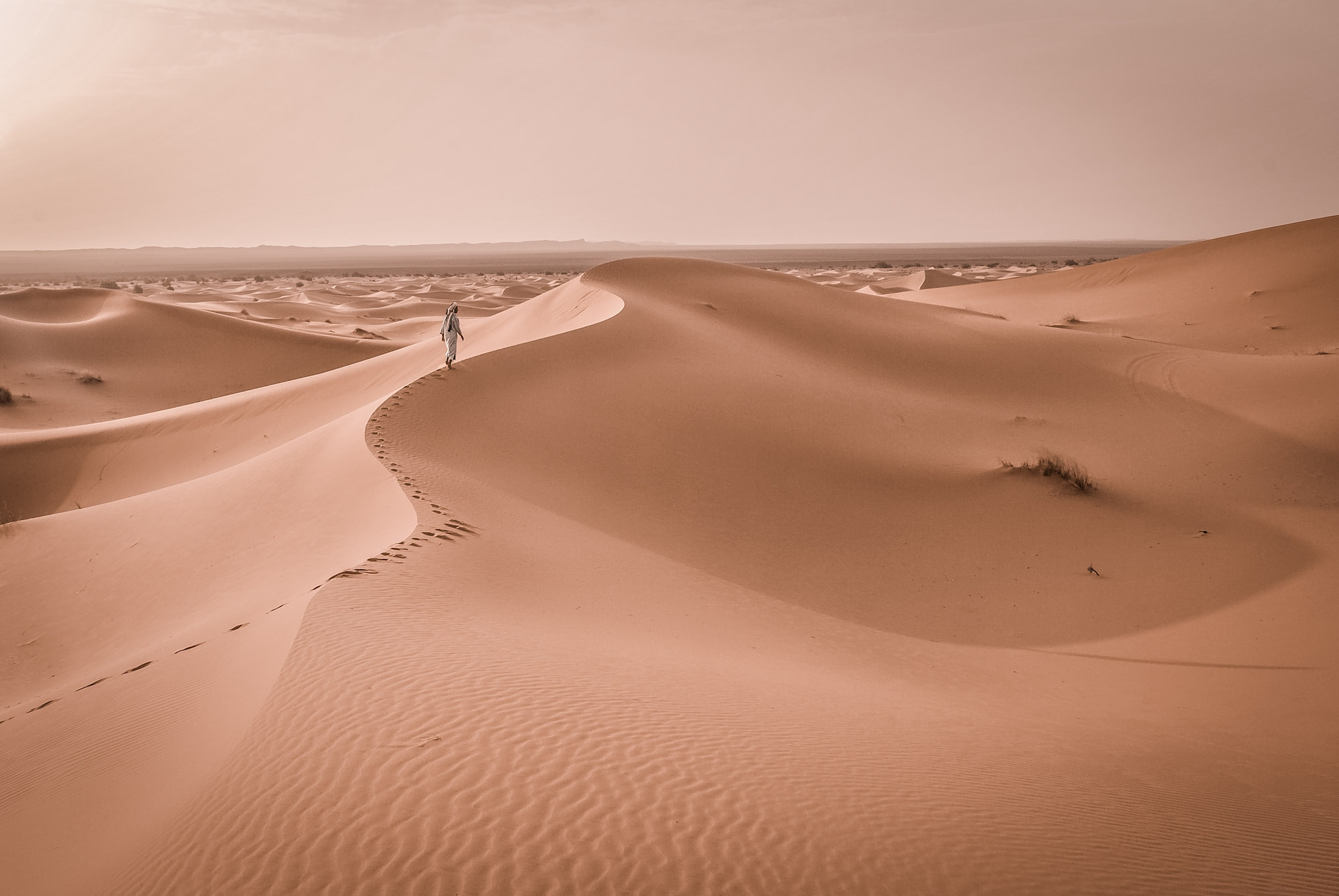 日の沈む国モロッコ　異国情緒と砂漠を楽しむ 8日間（日本語ガイド付）
