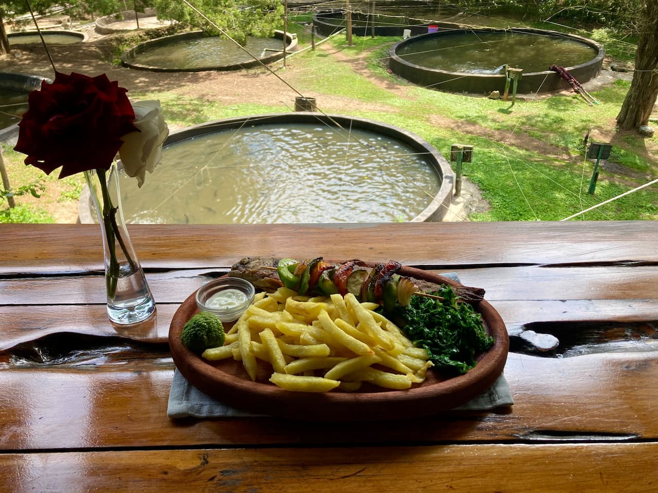 Trout Tree Restaurant in Kenya, where wildlife comes to visit