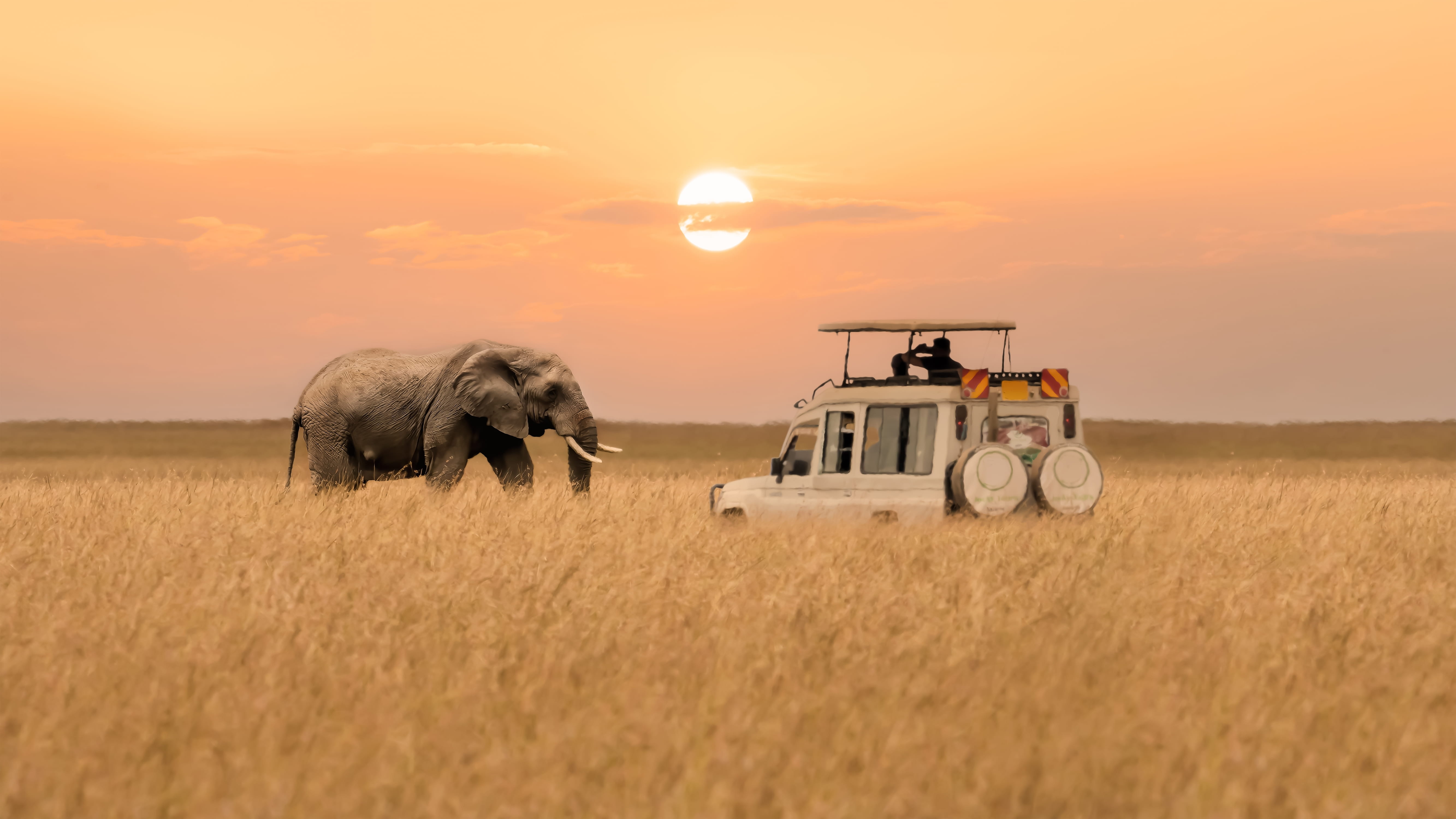 Elephants of Masai Mara National Reserve - 2