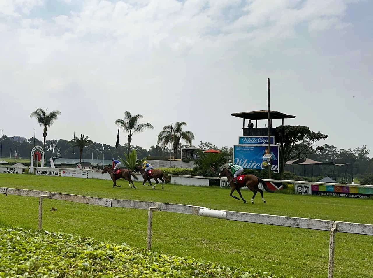 Try Kenyan horse racing at Ngong Racecourse