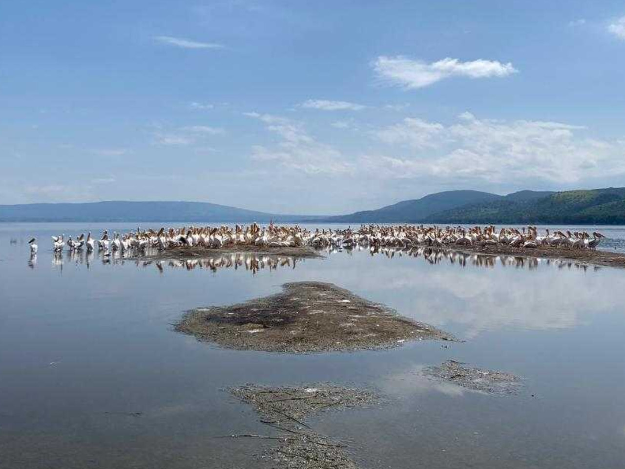 納庫魯湖國家公園的舒適草原和湖泊