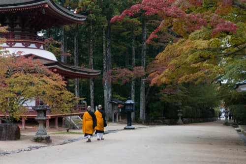 日本高野山的和尚