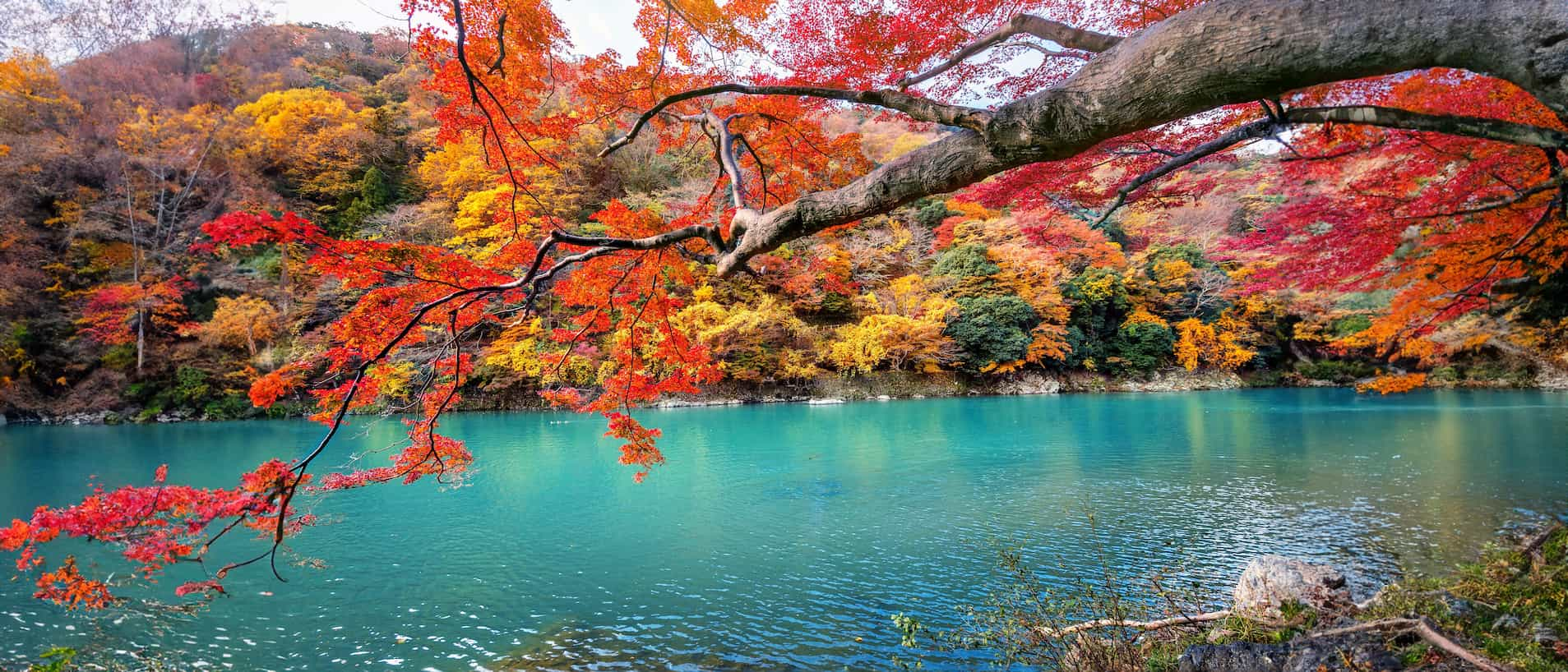 在日本嵐山，河流與紅葉的景色