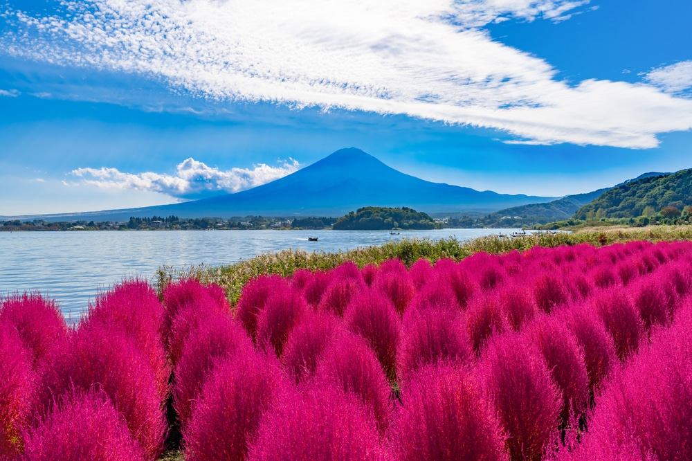 富士山和大石公園