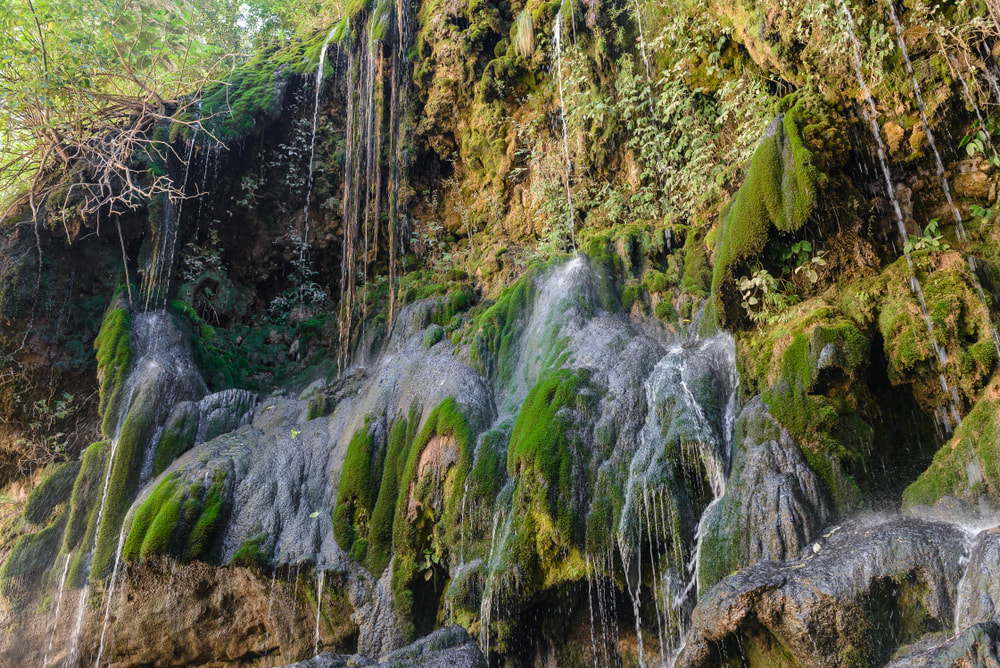 El Vergel of Bolivia