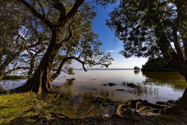 Lake Tana, the largest lake in Ethiopia