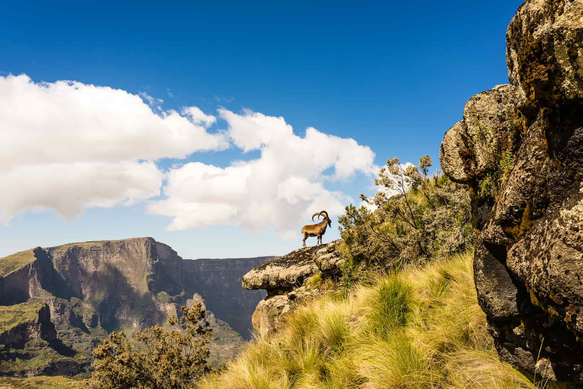 Simien National Park in Ethiopia by Avex